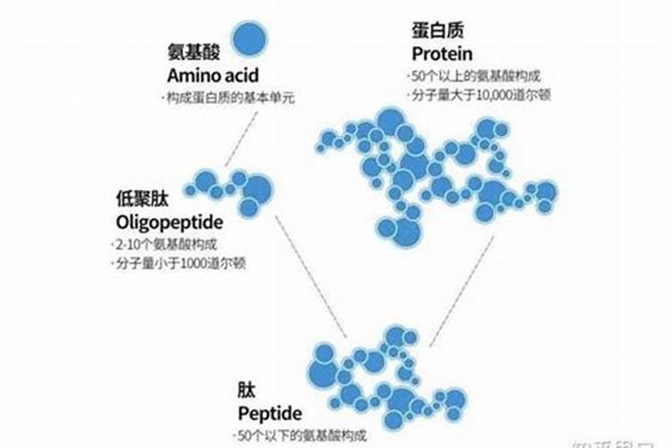 多肉植物用什么肥料长得快