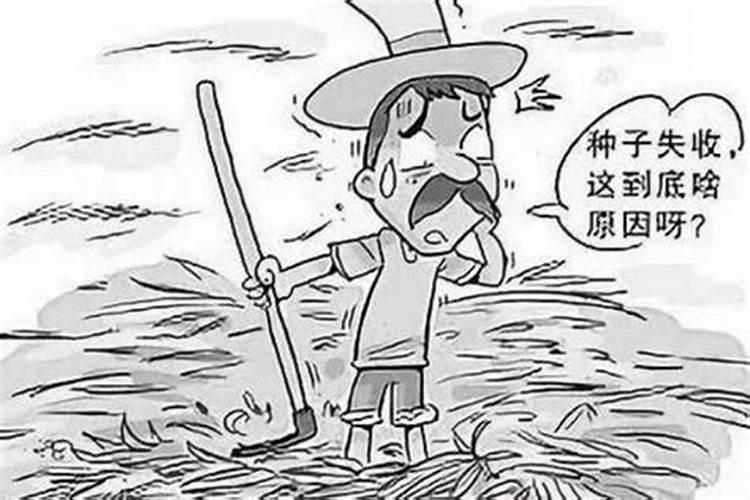 果园老板称量子肥料让近20万斤血桃霉变腐烂,所谓的“量子肥料”是什么...