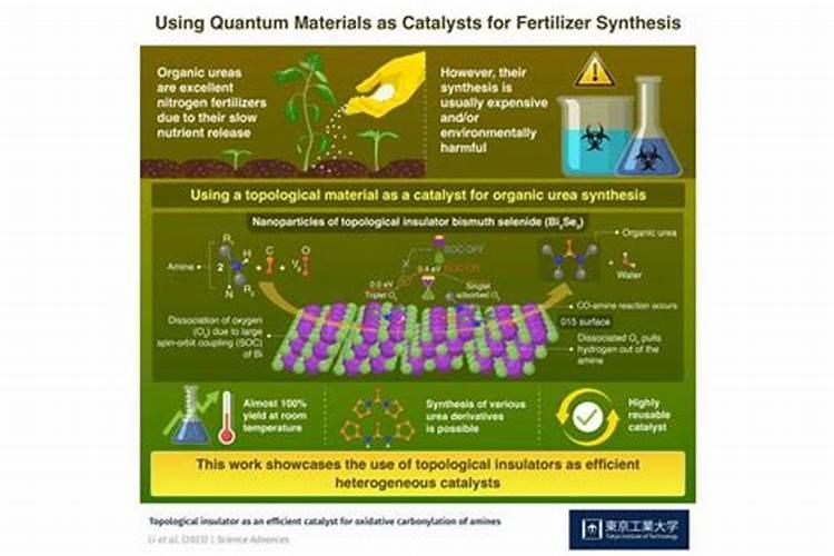 栽完稻多少天追钾肥好