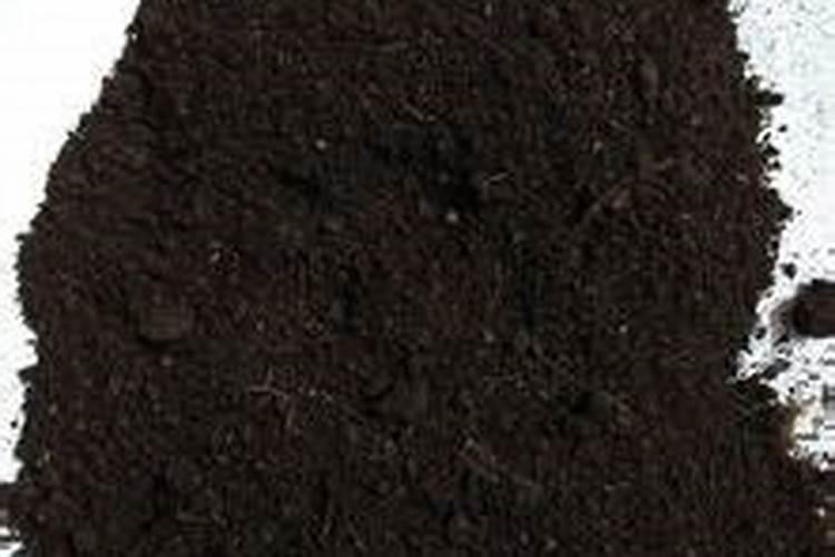 春季施肥以什么肥为主