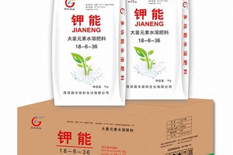 室内养花别乱施肥,别乱喷水,植物会活得更好