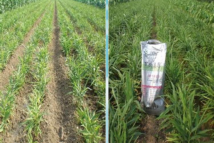 喝红酒时需要忌口的食物需知