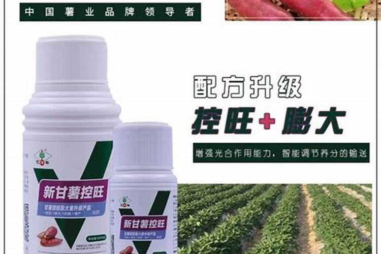 种红薯喷什么叶面肥可以增产？有推荐的吗？