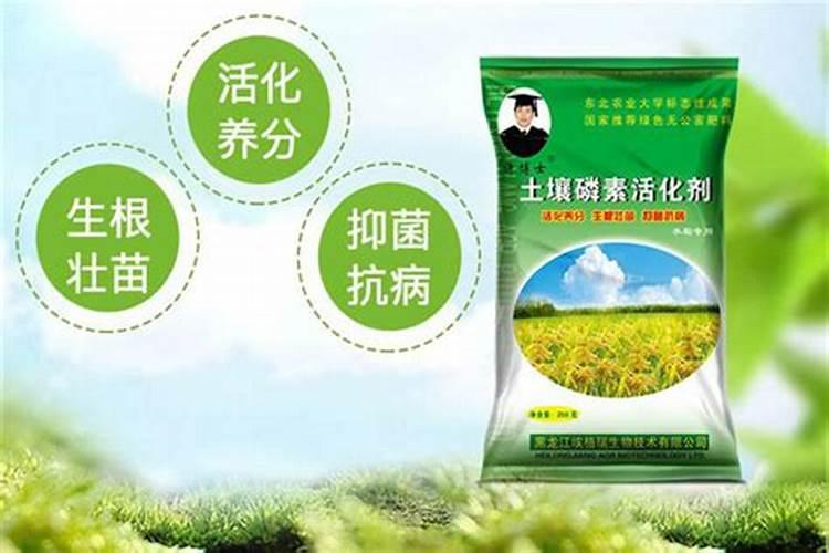 土壤活化剂和控释肥一起用吗
