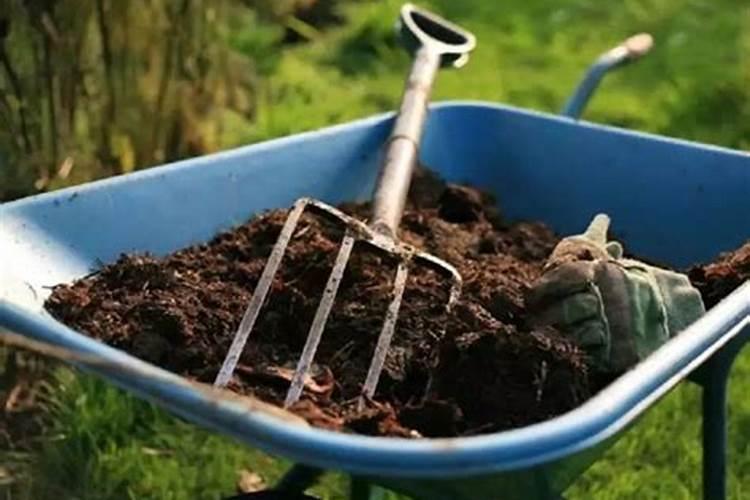 植物什么季节施肥好