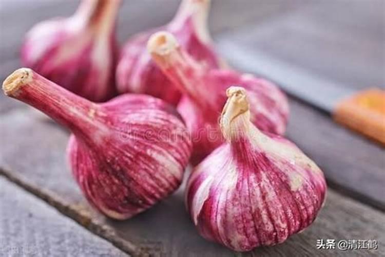 我家的蔷薇花叶片被类似菜虫样子的虫吃掉很多,请问用什么方法防治？谢谢...