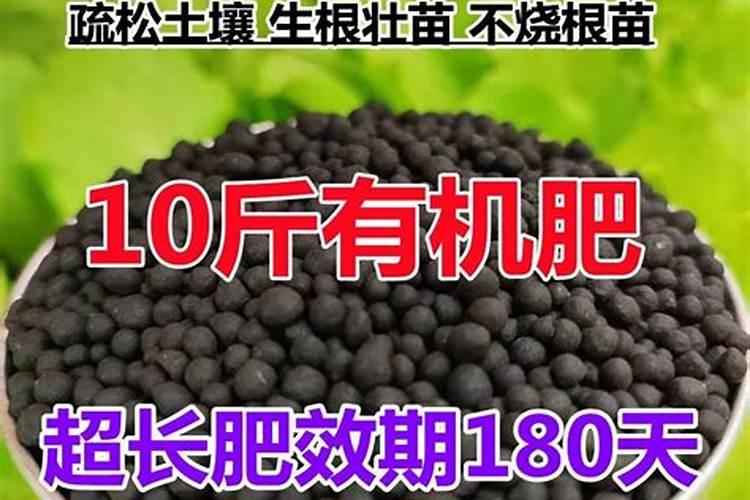 复合肥可以浇绿萝吗