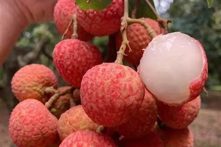 如果用尿素做叶肥的话,兑水的比例大概是多少？