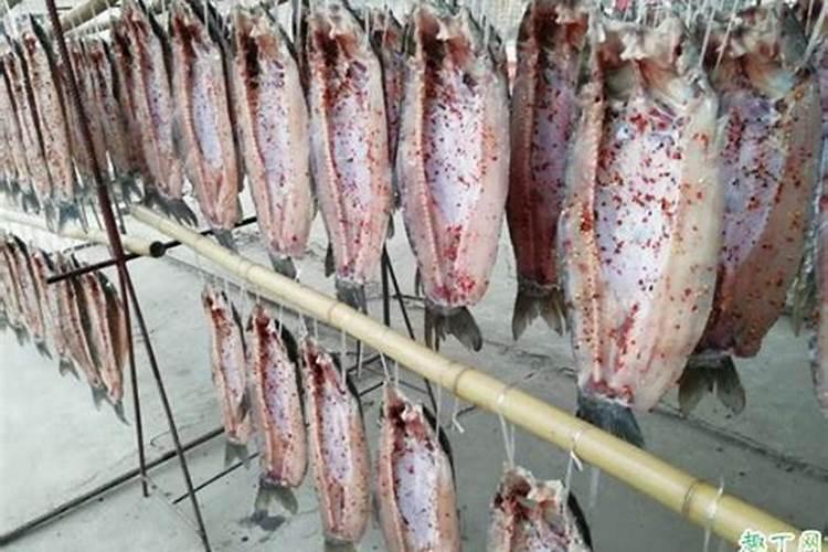 干玉米市场价格多少钱一斤？看完你就知道,别再买了!