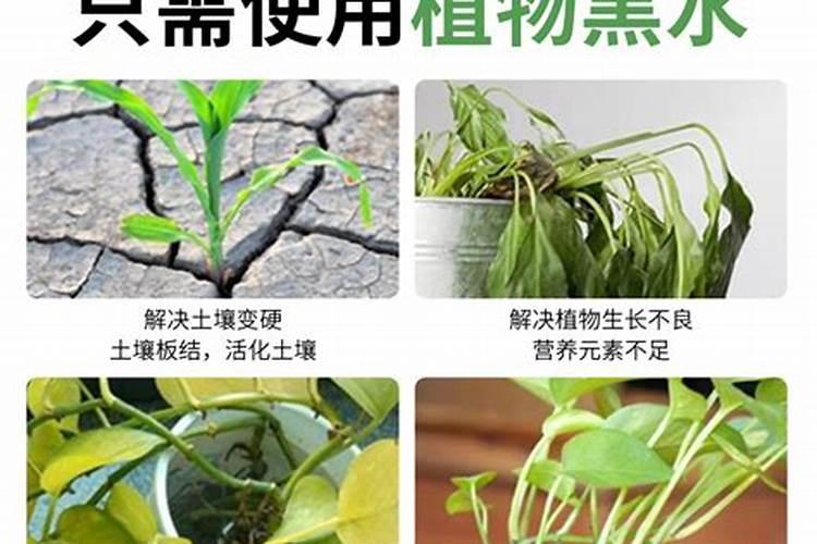 惠民直饮水站可靠吗