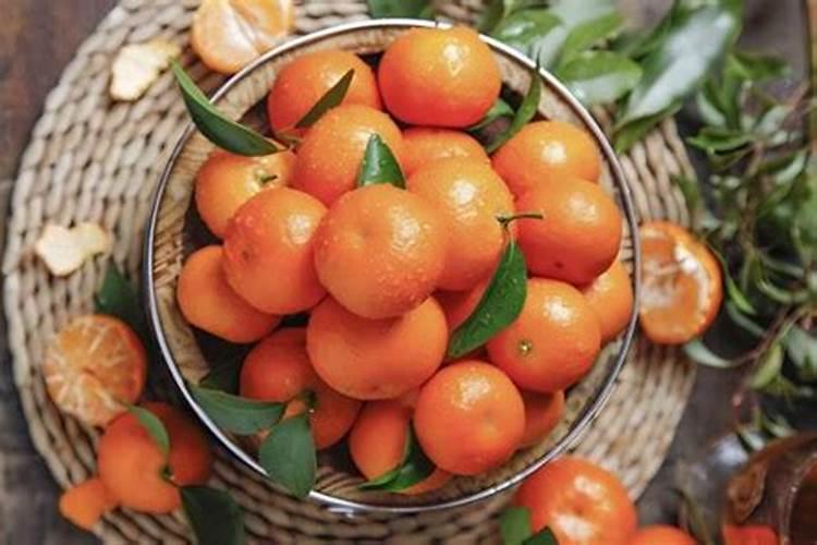 沙糖桔如何施钙镁磷肥