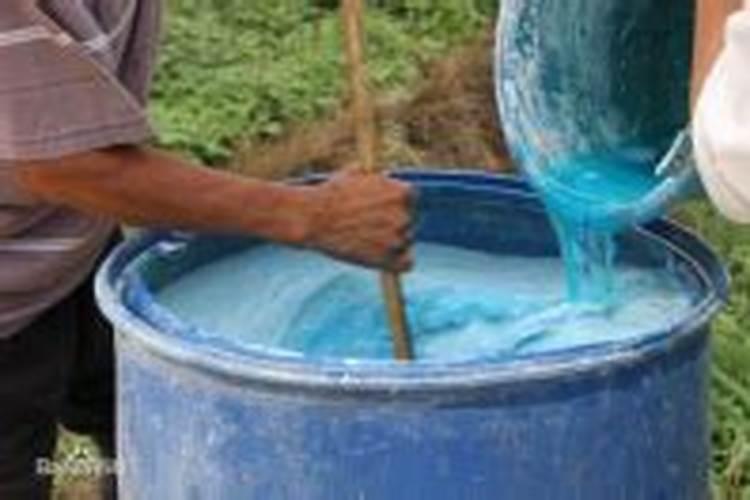 橘子树用什么肥料最好