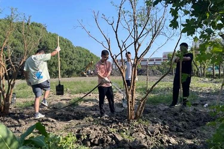 叶面肥为什么不能跟碱性农药混用