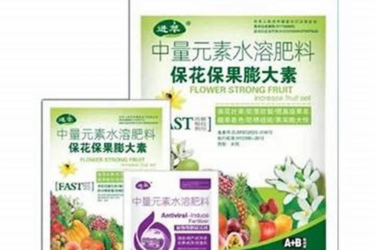 “活血草”你认识吗？它用途强大很多人不知道