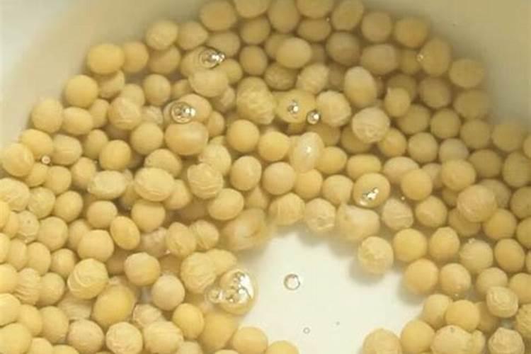 红掌可以用黄豆当肥吗