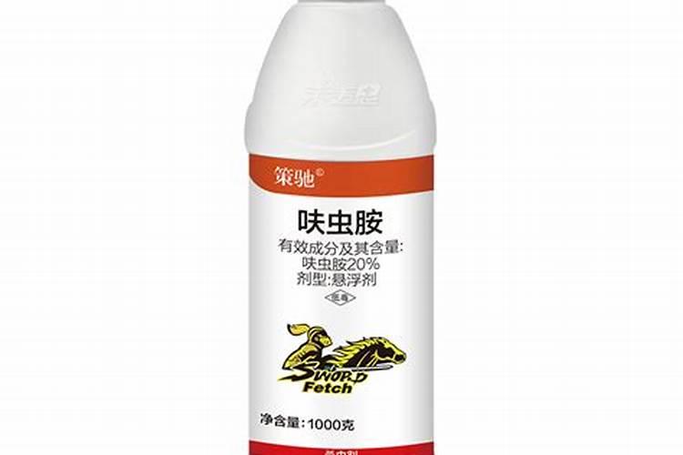 请问这种是什么树,有没有价值？急急急!