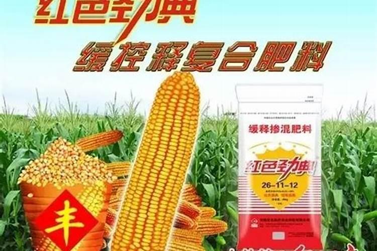 玉米什么时候追肥最好？