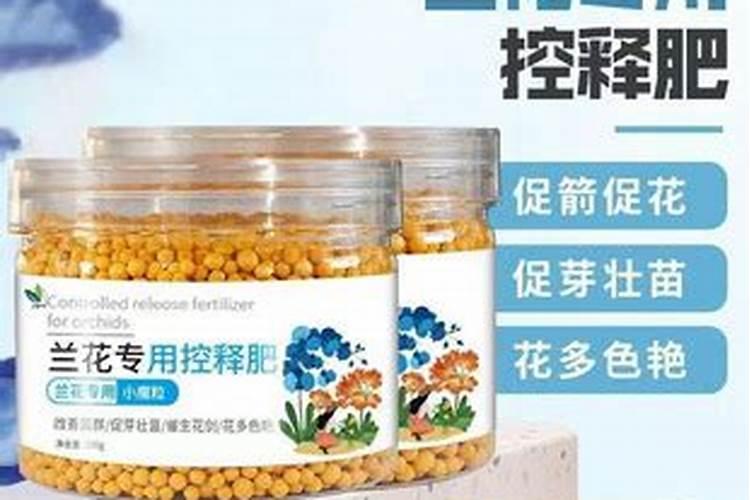 兰花施什么肥好