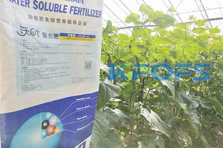 玉米需要多少氮磷钾肥