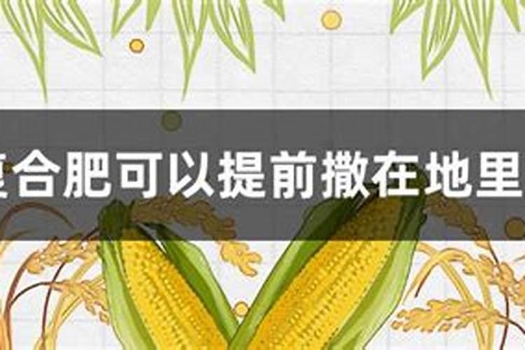 怎样种植烤烟产量高