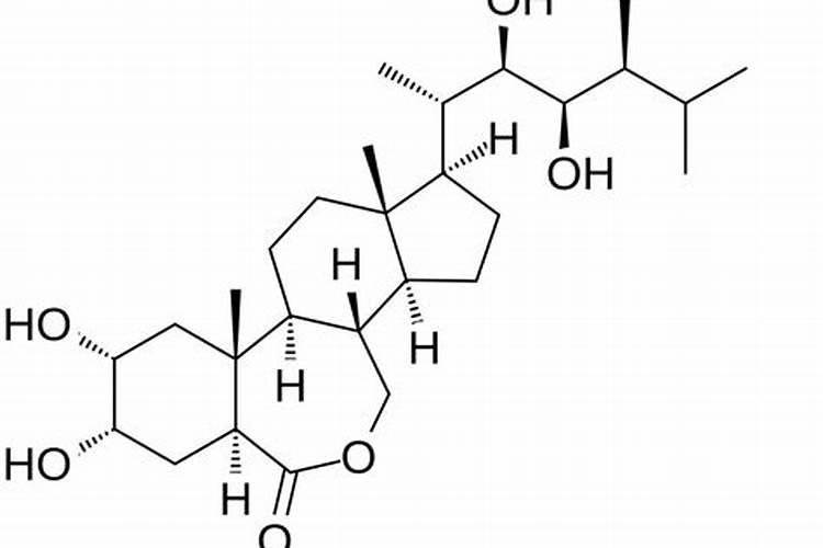 黄瓜初花结果期用什么肥既保花保果且不旺长