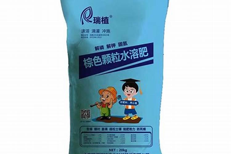 黄瓜缺钙的原因有哪些 补钙要点