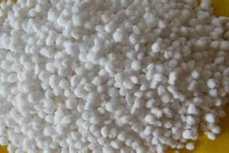 芹菜浇水冲施什么肥料