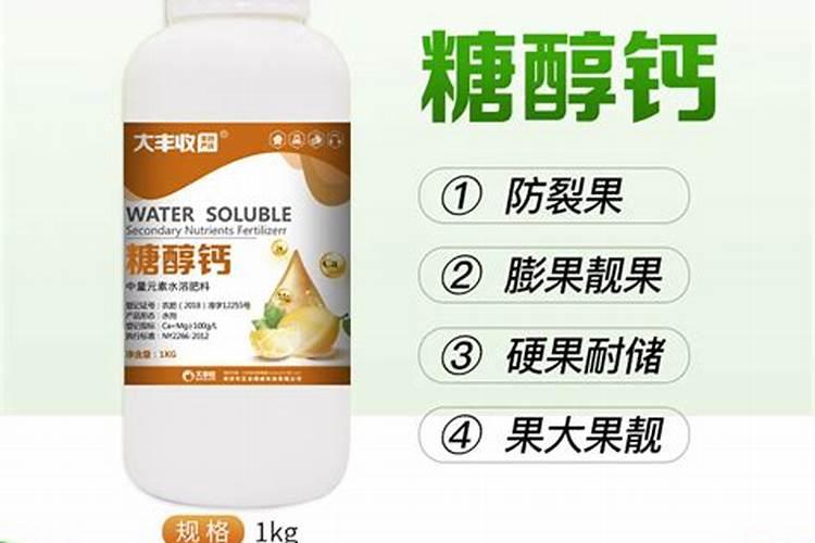 柚子开花期怎样施肥 柚子树开花如何管理