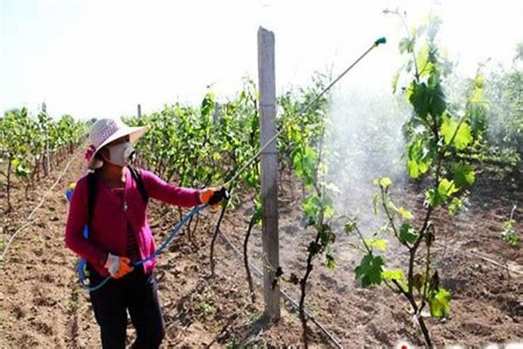 如何区别大量元素、中量元素、微量元素？