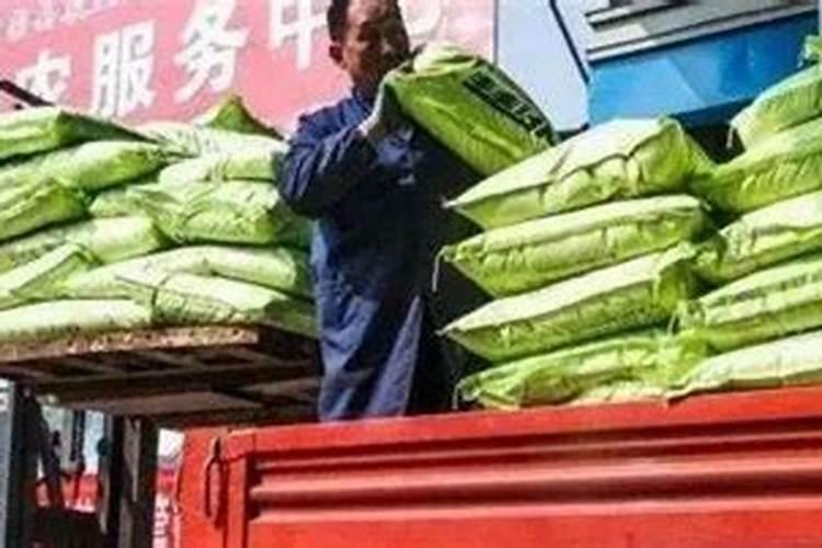 茶花施什么肥最好