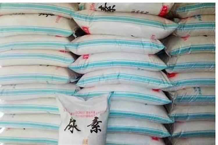 蓝莓适合什么土种植