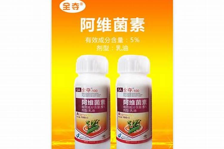 蚕豆种植方法全过程