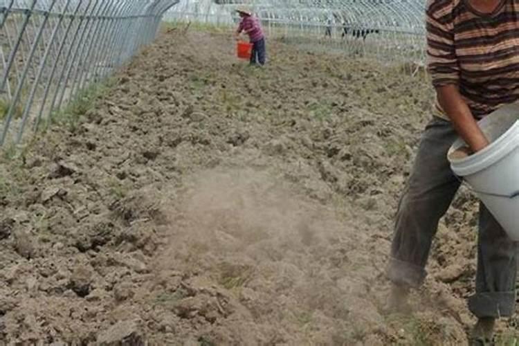 花施肥多了怎么急救