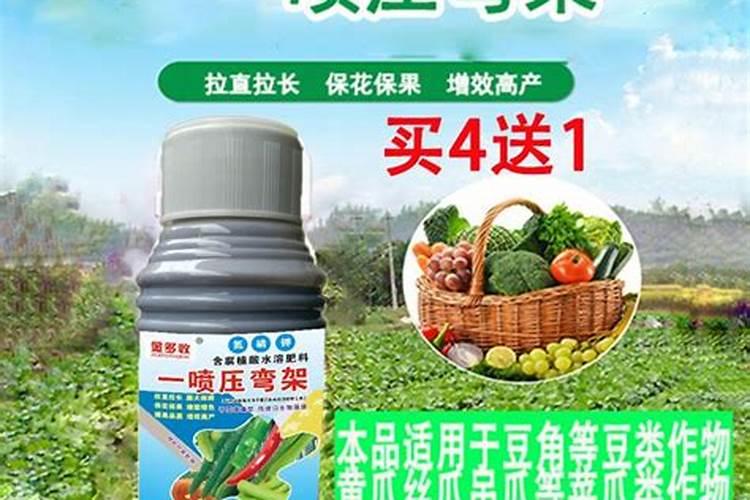 石榴开花时能浇水吗