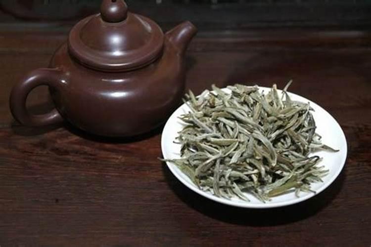 白茶的产地在哪里
