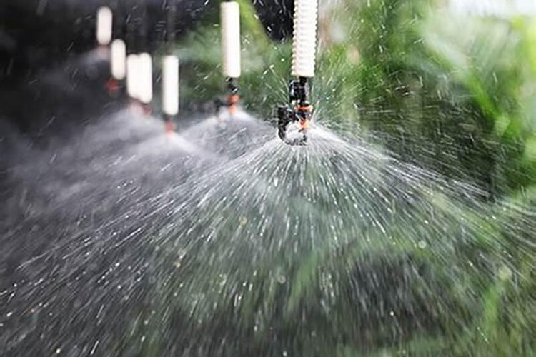 水溶肥的使用方法和注意事项