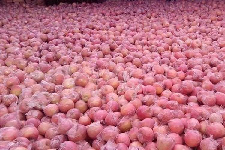 玉米喷施尿素的正确方法(用尿素追肥直接撒地面行吗)