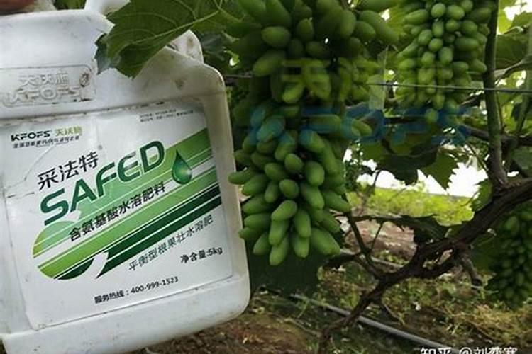 抗病虫害抗倒伏用什么肥