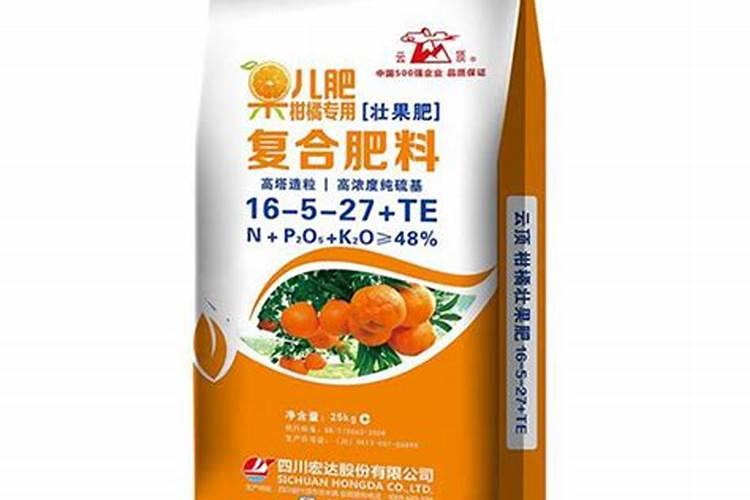 柑子树种植技巧