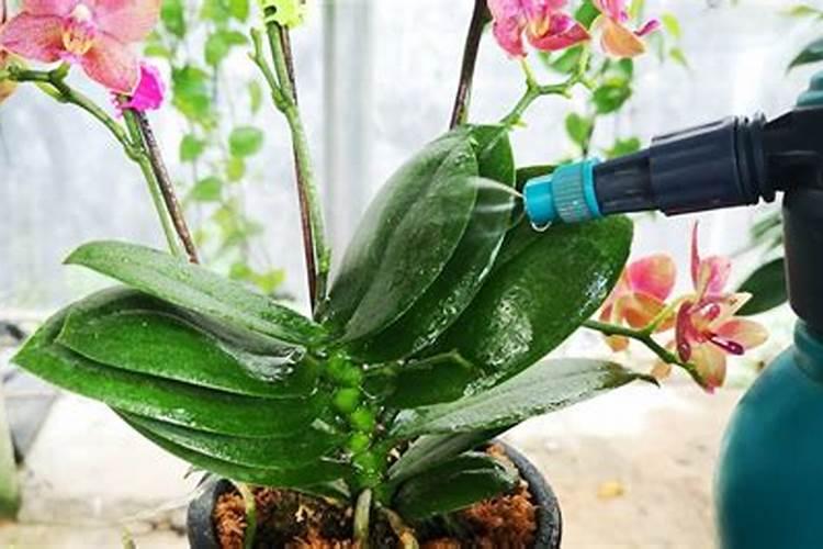 浙江省最大红茶乌龙茶生产加工基地落户龙泉