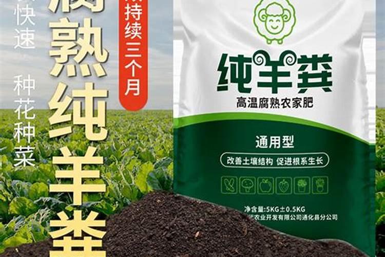 锌肥在玉米上怎样使用