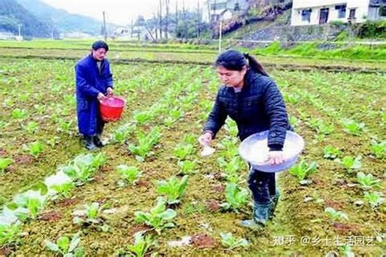 7月柑橘打什么农药