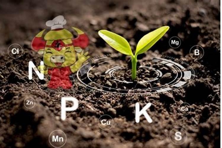 植物生长需要氮,那么给盆栽里直接加氮行不行,如何加