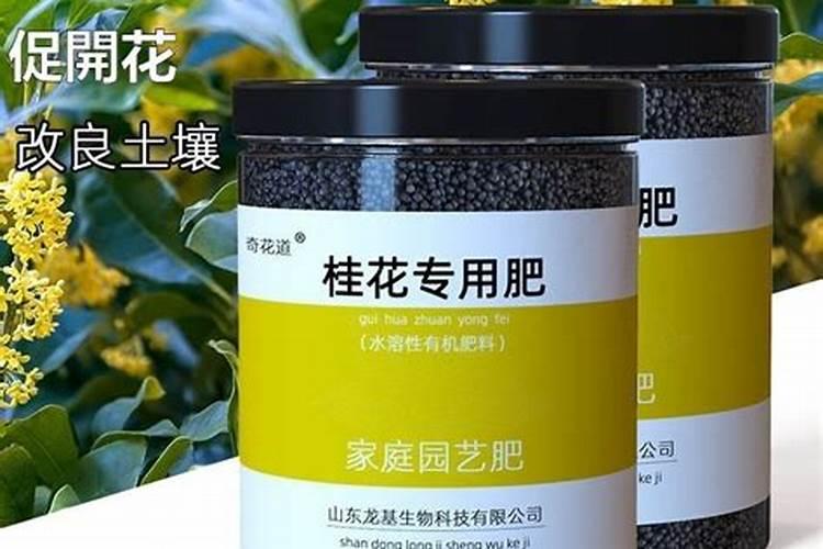 龟背竹施什么肥最好