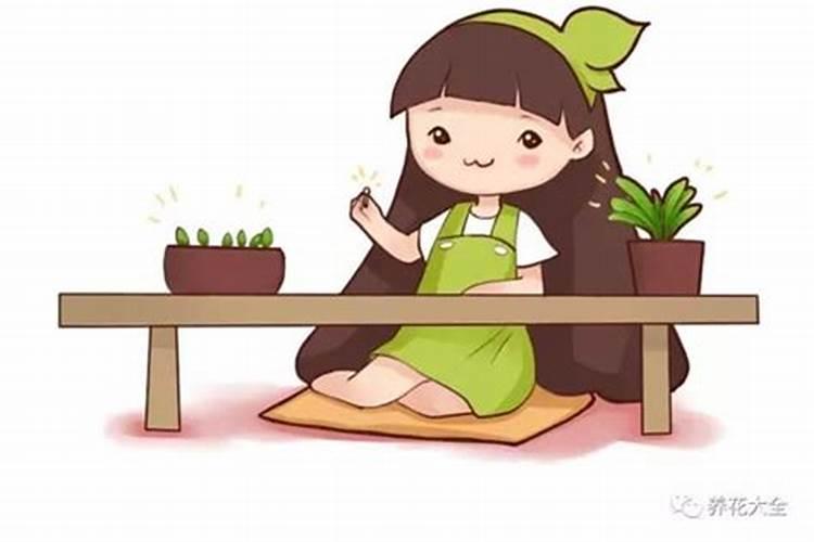 君子兰用什么肥料好