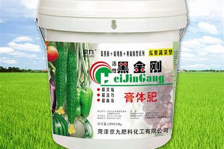黑金刚日常养护