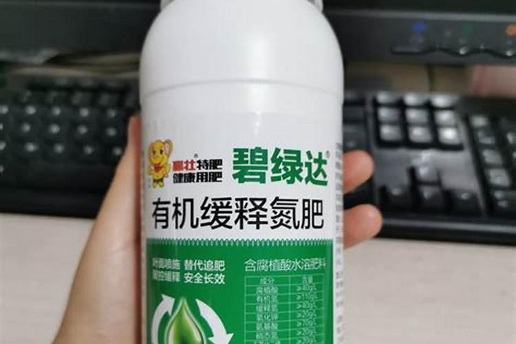 地栽月季花如何施肥