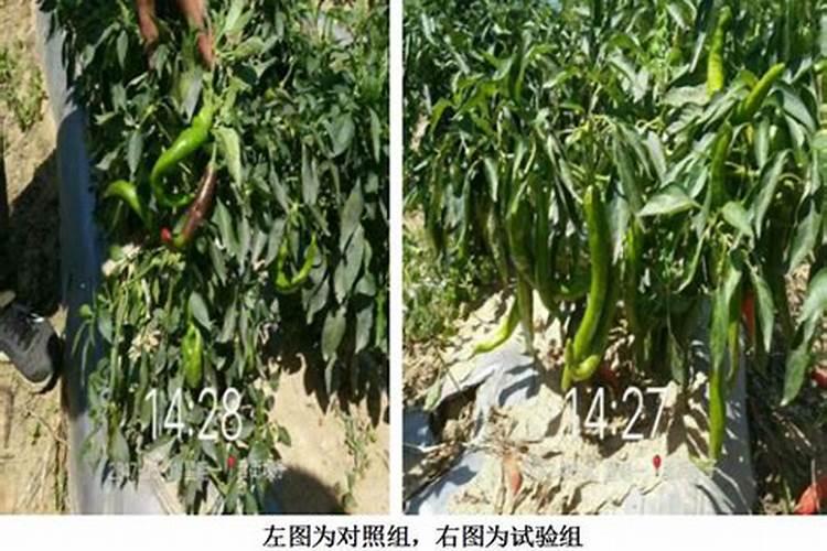 磷酸二氢钾最佳配方