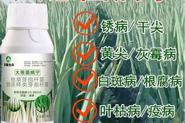 葱喷什么农药能使葱叶更绿更硬？