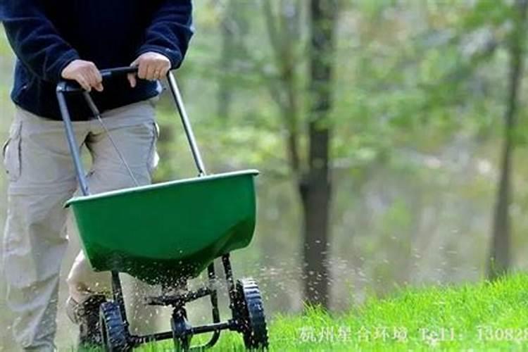 谁能给我提供一些养花的具体步骤!？